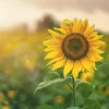 blog-4 blog-4